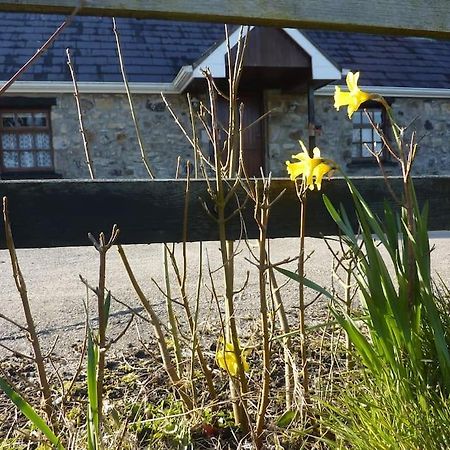 The Hill Cottage Galway Extérieur photo
